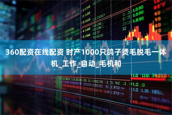 360配资在线配资 时产1000只鸽子烫毛脱毛一体机_工作_自动_毛机和