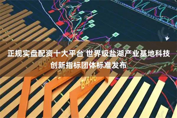 正规实盘配资十大平台 世界级盐湖产业基地科技创新指标团体标准发布